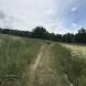 quady-obozy-quadowe-gokartowe-paintballowe-przygodowe-wandrus-img_1798.jpg