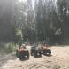 quady-obozy-quadowe-gokartowe-paintballowe-przygodowe-wandrus-img_1836.jpg