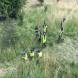 paintball-obozy-paintballowe-quadowe-gokartowe-wandrus-img_0848.jpg