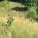 paintball-obozy-paintballowe-quadowe-gokartowe-wandrus-img_0849.jpg