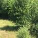 paintball-obozy-paintballowe-quadowe-gokartowe-wandrus-img_0855.jpg