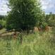 paintball-obozy-paintballowe-quadowe-gokartowe-wandrus-img_0859.jpg