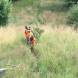 paintball-obozy-paintballowe-quadowe-gokartowe-wandrus-img_0883.jpg