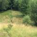 paintball-obozy-paintballowe-quadowe-gokartowe-wandrus-img_0888.jpg