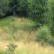 paintball-obozy-paintballowe-quadowe-gokartowe-wandrus-img_0891.jpg