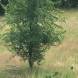 paintball-obozy-paintballowe-quadowe-gokartowe-wandrus-img_0895.jpg