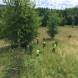 paintball-obozy-paintballowe-quadowe-gokartowe-wandrus-img_0901.jpg