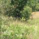 paintball-obozy-paintballowe-quadowe-gokartowe-wandrus-img_0908.jpg