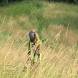 paintball-obozy-paintballowe-quadowe-gokartowe-wandrus-img_0910.jpg
