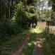 paintball-obozy-paintballowe-quadowe-gokartowe-wandrus-img_0942.jpg