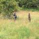 paintball-obozy-paintballowe-quadowe-gokartowe-wandrus-img_0960.jpg