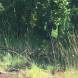 paintball-obozy-paintballowe-quadowe-gokartowe-wandrus-img_1007.jpg
