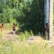 paintball-obozy-paintballowe-quadowe-gokartowe-wandrus-img_1012.jpg
