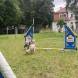 z-psem-na-wakacje-oboz-wandrusa-dla-dzieci-i-mlodziezy-z-wlasnym-psem-img_0099.jpg