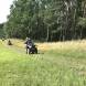 quady-wyprawy-quadowe-obozy-quadowo-paintballowo-gokartowe-wandrus-turnus-czxwarty-2022-img_3095.jpg