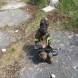 paintball-bitwy-w-opuszczonych-budynkach-i-w-terenie-wandrus-obozy-przygody-turnus-czwarty-czesc-pierwsza-2022-img_1948.jpg