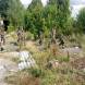 paintball-bitwy-w-opuszczonych-budynkach-i-w-terenie-wandrus-obozy-przygody-turnus-czwarty-czesc-pierwsza-2022-img_1956.jpg