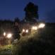 quady-nocna-wyprawa-obozy-paintballowo-quadowo-gokartowe-wandrus-turnus-pierwszy-2022-img_7521.jpg