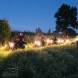 quady-nocna-wyprawa-obozy-paintballowo-quadowo-gokartowe-wandrus-turnus-pierwszy-2022-img_7536.jpg
