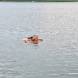 wandrus_obozy_przygody_waldowo_kolo_ostrody_turnus_2_czesc_1_img_20220712_203257.jpg