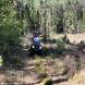 obozy_quadowe_gokartowe_paintballowe_asg_wandrus_1594.jpg