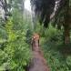 obozy_quadowe_paintballowe_gokartowe_wandrus_115261.jpg