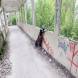 obozy_quadowe_paintballowe_gokartowe_wandrus_115326.jpg