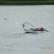 oboz-windsurfingowy-wandrus-obozy-przygody-5808.jpg