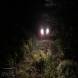 wandrus_obozy_quadowe_gokartowe_paintballowe_asg_nocna_wyprawa_quadowa_1549.jpg
