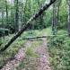 wandrus_obozy_quadowe_paintballowe_gokartowe_asg_wyprawa_quadowa_w_terenie_img_1138.jpg