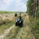 wandrus_obozy_quadowe_paintballowe_gokartowe_asg_wyprawa_quadowa_w_terenie_img_1191.jpg