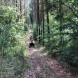 wandrus_obozy_quadowe_paintballowe_gokartowe_asg_wyprawa_quadowa_w_terenie_img_1249.jpg