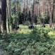 wandrus_obozy_quadowe_paintballowe_gokartowe_asg_wyprawa_quadowa_w_terenie_img_1272.jpg