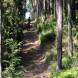 wandrus_obozy_quadowe_paintballowe_gokartowe_asg_wyprawa_quadowa_w_terenie_img_1274.jpg