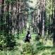 wandrus_obozy_quadowe_paintballowe_gokartowe_asg_wyprawa_quadowa_w_terenie_img_1277.jpg