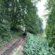 obozy-quuadowe-wandrus-wyprawy-w-teren-img_1949.jpg