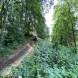 obozy-quuadowe-wandrus-wyprawy-w-teren-img_1954.jpg