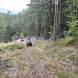 obozy-quuadowe-wandrus-wyprawy-w-teren-img_2144.jpg