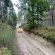 obozy-quuadowe-wandrus-wyprawy-w-teren-img_2256.jpg