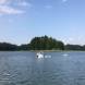 wandrus-oboz-sportow-wodnych-holowanie-za-motorowka-narty-wodne-wakeboard-banan-oponka-3744.jpg