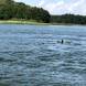 wandrus-oboz-sportow-wodnych-holowanie-za-motorowka-narty-wodne-wakeboard-banan-oponka-3757.jpg