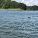 wandrus-oboz-sportow-wodnych-holowanie-za-motorowka-narty-wodne-wakeboard-banan-oponka-3758.jpg