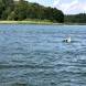 wandrus-oboz-sportow-wodnych-holowanie-za-motorowka-narty-wodne-wakeboard-banan-oponka-3759.jpg