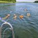 oboz-zeglarski-i-sportow-wodnych-wandrus-20230713_203246.jpg