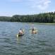 obozy-przygody-na-wodzie-wyprawy-kajakowe-deski-sup-lodzie-wioslowe-img_3051.jpg