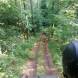 oboz-quadowo-paintballowo-gokartowy-wyprawy-quadowe-wandrus-img_20230714_150704.jpg