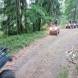 oboz-quadowo-paintballowo-gokartowy-wyprawy-quadowe-wandrus-img_20230714_150994.jpg