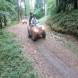 oboz-quadowo-paintballowo-gokartowy-wyprawy-quadowe-wandrus-img_20230714_150997.jpg