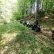 oboz-quadowo-paintballowo-gokartowy-wyprawy-quadowe-wandrus-img_20230714_151238.jpg