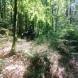 oboz-quadowo-paintballowo-gokartowy-wyprawy-quadowe-wandrus-img_20230714_151387.jpg